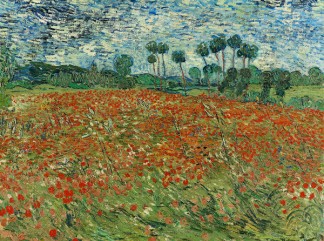 vincent van gogh-campo di papaveri-1890 -324-241