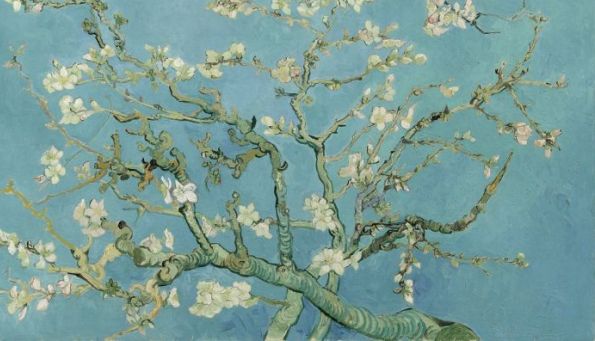 Vincent van Gogh, Ramo di mandorlo in fiore, 1890